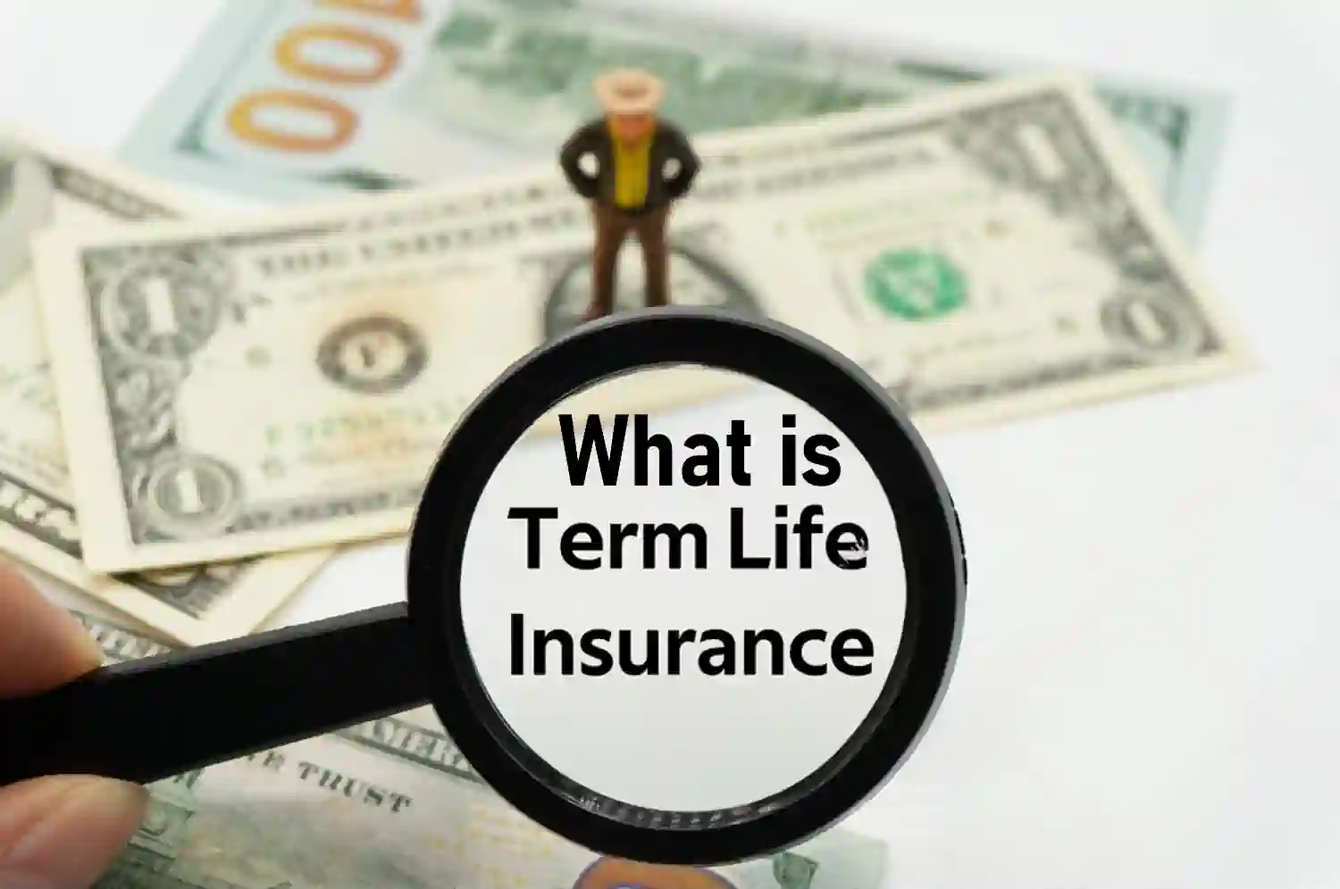 what is term life insurance?