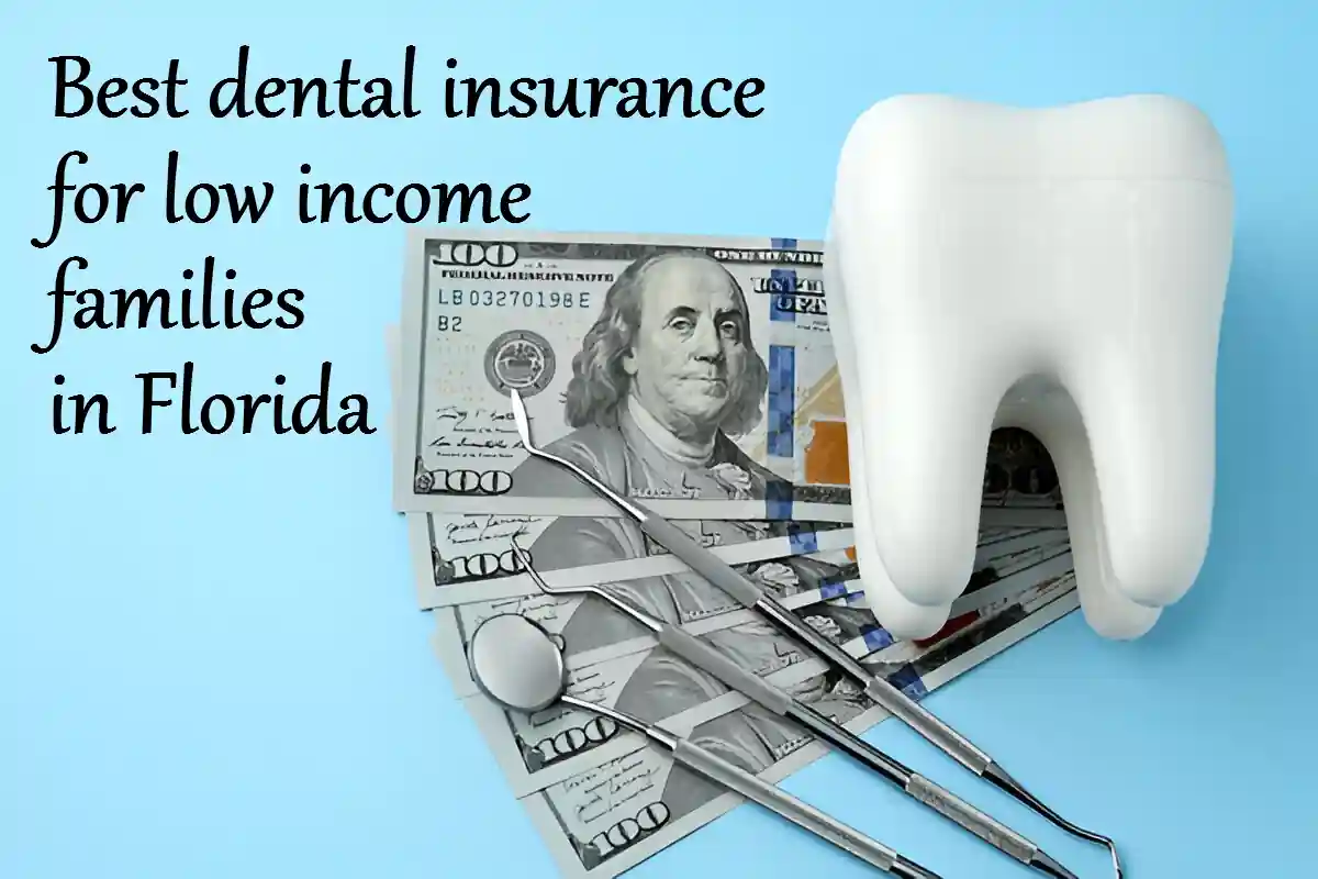 Best dental insurance for low income families in Florida 2025 Guide