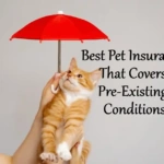 Pet Insurance That Covers Pre-Existing Conditions